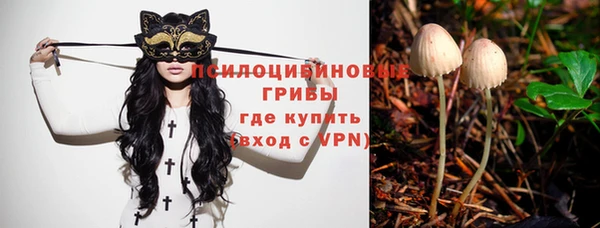 таблы Верея