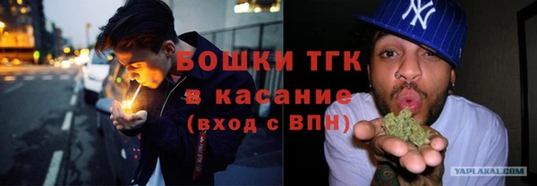 сатива Володарск