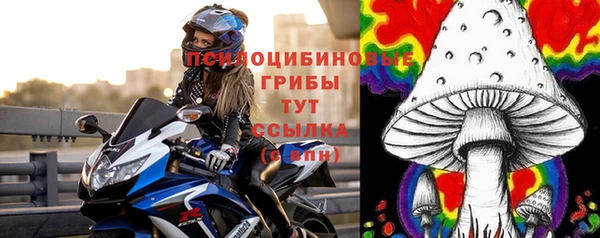 сатива Володарск