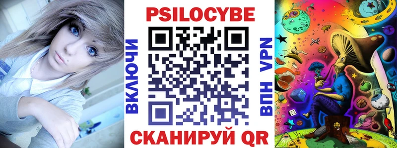блэк спрут ссылки даркнет сайт Новоржев Галлюциногенные грибы Psilocybine cubensis